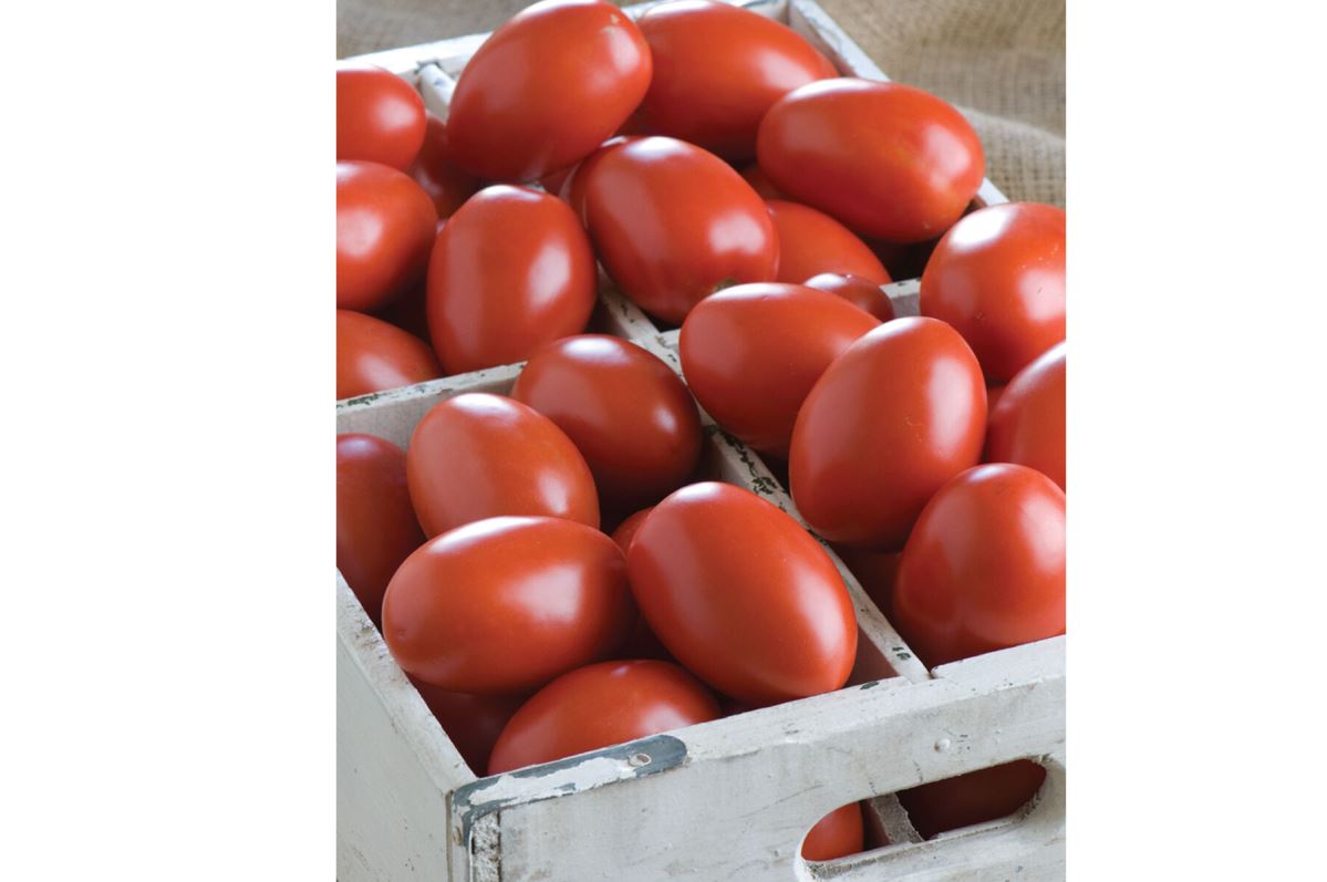 Granadero – Organic Tomato Seed